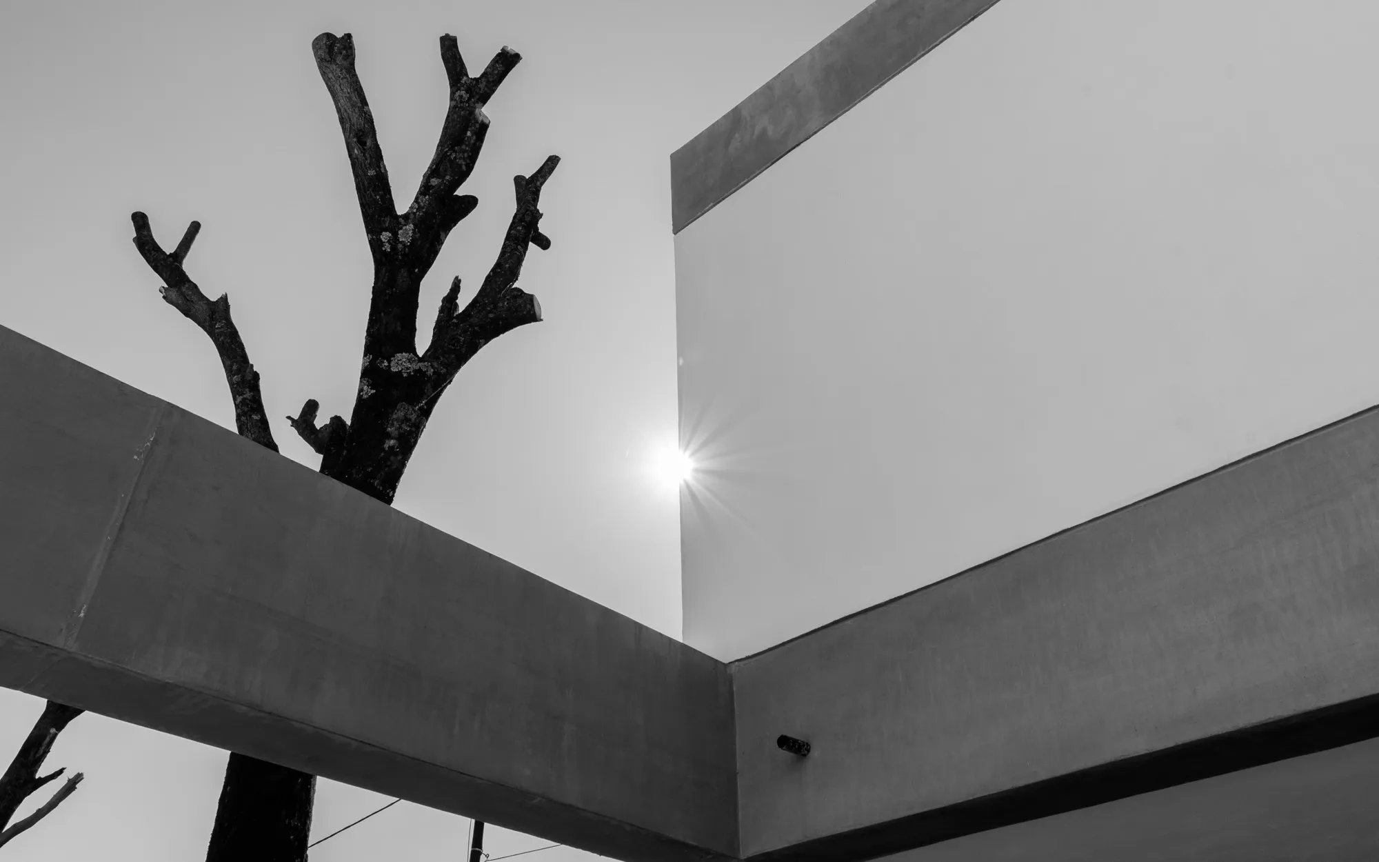 Fotografía de Vivienda JS